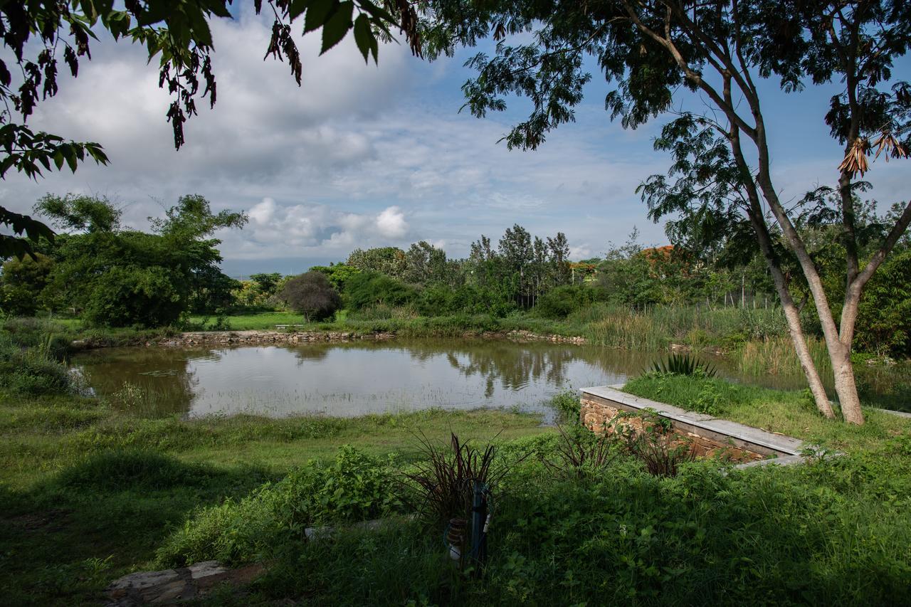 Dhole'S Den Bandipur Vila Exterior foto